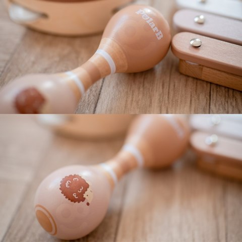 VIGA PolarB Zestaw Instrumentów Muzycznych Z Jeżykiem